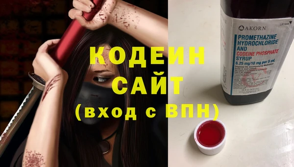 дживик Белокуриха