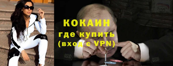 дживик Белокуриха