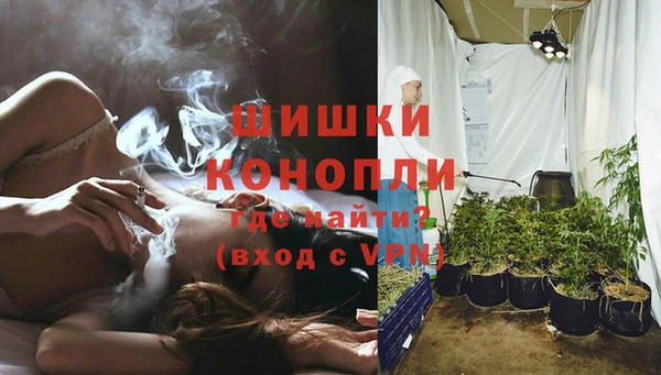 дживик Белокуриха