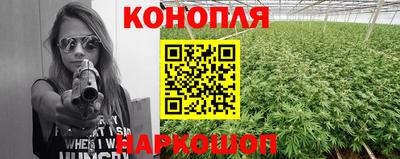 прущие грибы Волжск