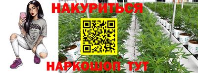 спиды Волгодонск