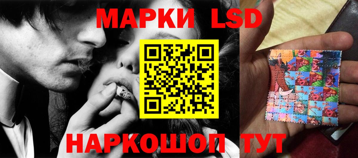 Бошки Шишки Гусев