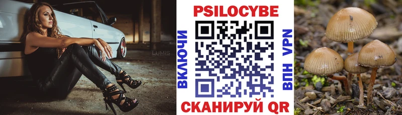 Псилоцибиновые грибы Psilocybe  цена наркотик  Гусев 