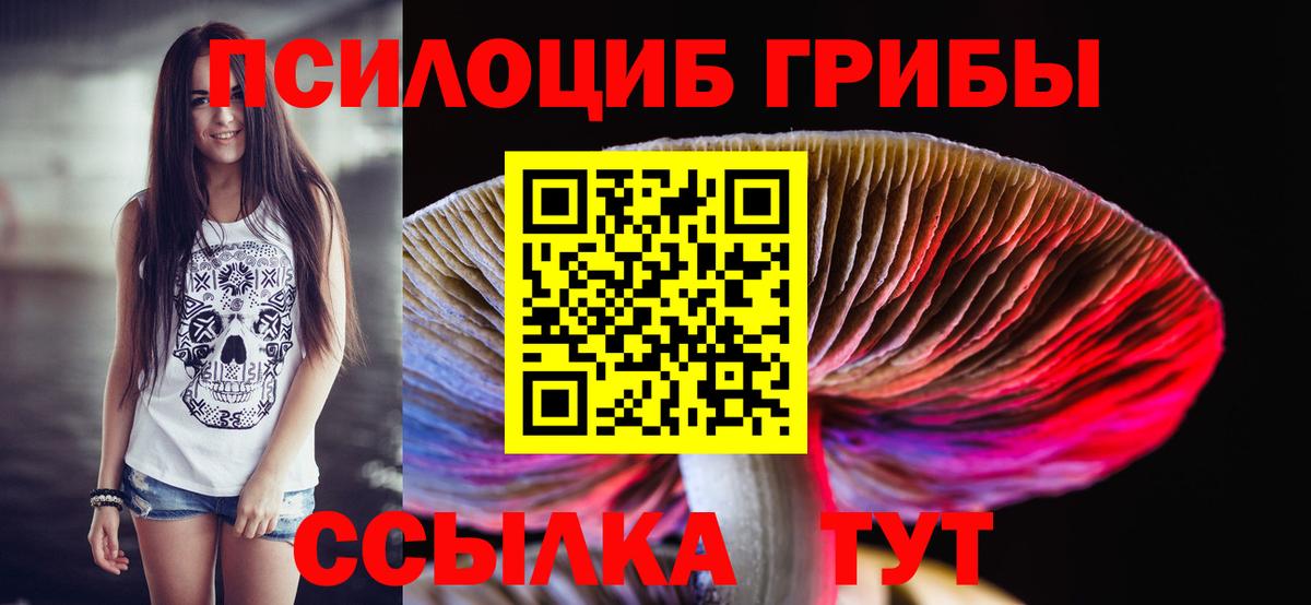 Псилоцибиновые грибы мухоморы Гусев