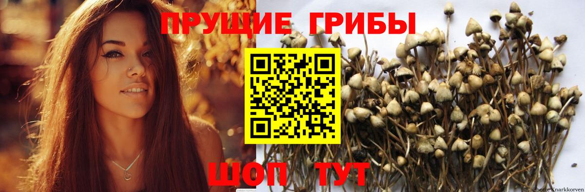 Галлюциногенные грибы Magic Shrooms Гусев