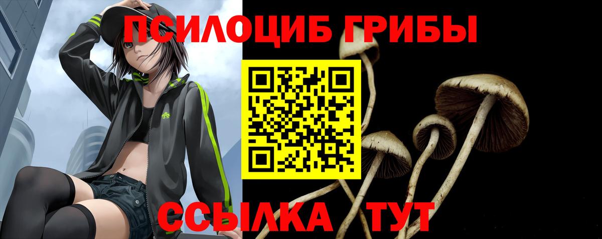 Псилоцибиновые грибы GOLDEN TEACHER  Гусев 